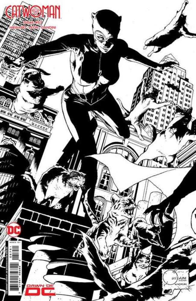 Catwoman #57 Cover E Joe Quesada Black & White Connecting Card Stock Variant (Batman Catwoman The Gotham War) (1:50)